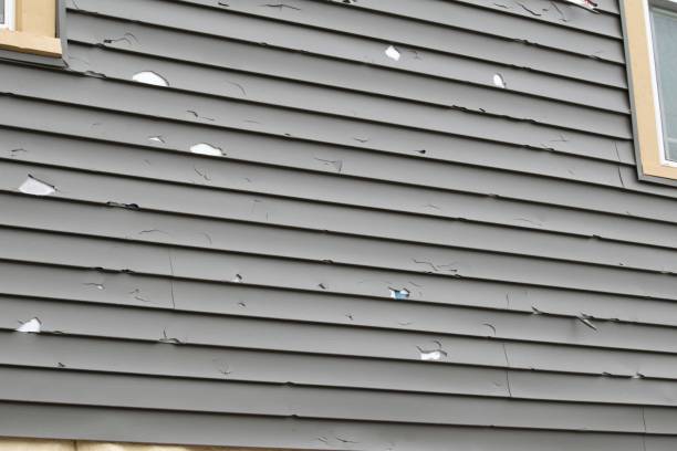  Kent Estates, IA Siding Installation & Repair Pros